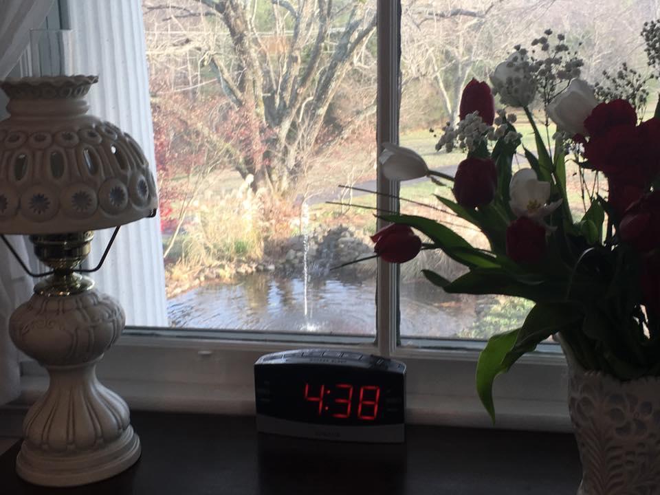 Winridge Manor Bed And Breakfast Madison Heights Esterno foto