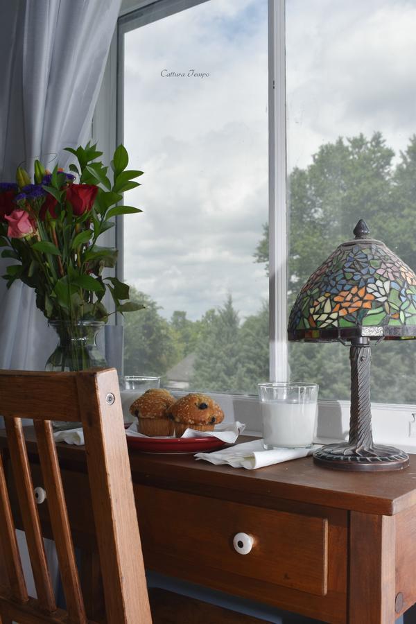 Winridge Manor Bed And Breakfast Madison Heights Esterno foto